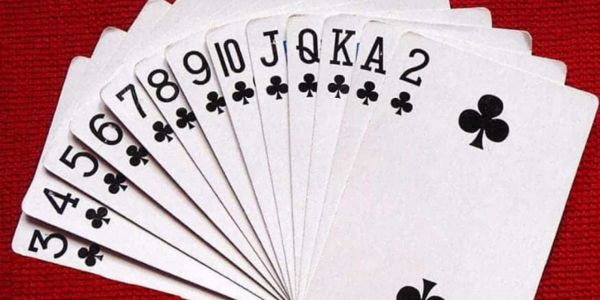 Dragon Hall là gì? Bí quyết chiến thắng dành cho người chơi mới