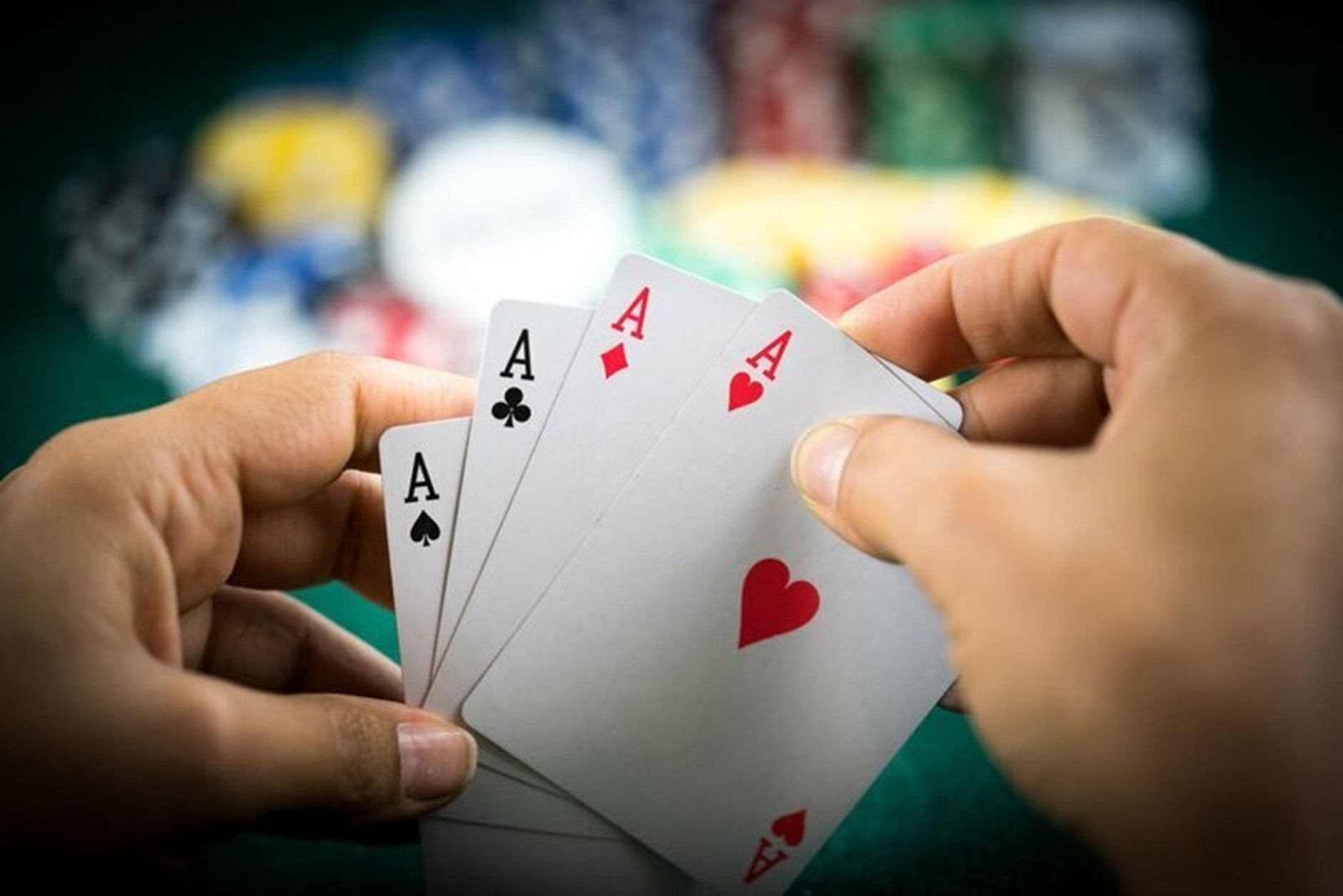 Giải Đáp] Tứ Quý Ăn Được Đôi Heo Không Chi Tiết Từ A - Z