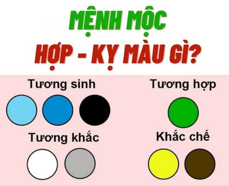 Màu sắc hợp tuổi Tân Mão